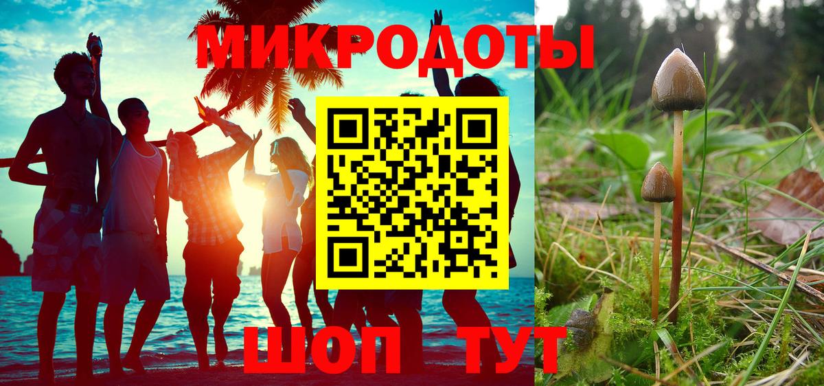 Галлюциногенные грибы Psilocybine cubensis Еманжелинск