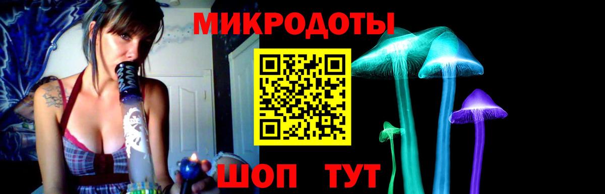 Галлюциногенные грибы Psilocybe  Вход с VPN  Еманжелинск 